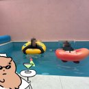 투유 | 대전 근교 충남 공주 신축 프라이빗 한 미온수풀 펜션 독채 투유풀빌라 솔직 후기