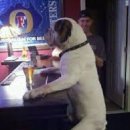 술은 먹고 다니냐? 이미지