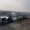 입장초등학교 이미지