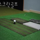 골든스크린골프 | 하남시 골프장 골든스크린골프 후기