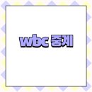 야구월드