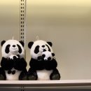 에잇세컨즈 부산광복점 이미지