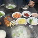 본죽 경남거제옥포점 | 거제 옥포 맛집 옥포 국밥 맛집 박가네 돼지국밥
