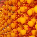 철민농장 이미지