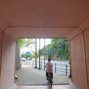 비야경로당 | 22년의 반