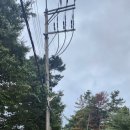 보라목장 이미지