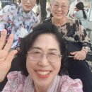 세실리아목장 Daum카페