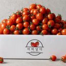 아따달다 SBS