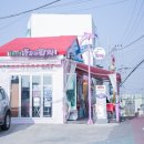 동화마을돌고래피자