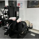 하단동아 | 부산 사하구 1:1 PT로 운동 습관 잡은 하단운동센터인 동아기능성운동트레이닝센터 솔직 후기