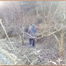 돌배나무 민박 이미지