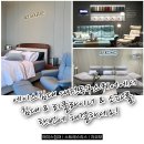 에이스카써비스 | [에이스침대 대전동구점]스트레스리스, 비싼 이유가 있네요...🥹💦 직원Pick ‘레노 RENO&#39; 체험기!!