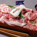 돼지새마을본부본오