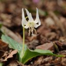 회룡1마을회관 이미지