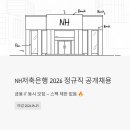 NH농협은행 영도지점 | NH저축은행 2026 정규직 공개채용 - 금융·IT 동시 모집, 지금 지원해야 하는 이유