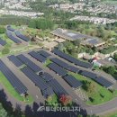 테슬라태양광발전소 이미지