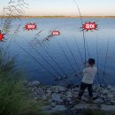 대물장어 이미지