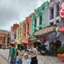 버드마트 이미지