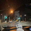 (주)보라비소프트 | 304. 31살 워홀러, 호주 FIFO 유틸리티 합격 후 첫 출근, 소프트랜딩에 가다 - 20250501~0507