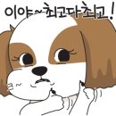 비에이치씨율하2점 이미지