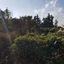 남원읍-15 이미지