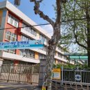 세종코아이비인후과의원 이미지