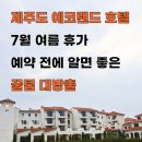 신혼부부 | 7월 여름휴가로 다녀온 에코랜드 신혼부부 여행지 솔직 후기