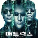 (주)메트릭스