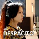 데스파시토 이미지