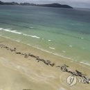 고래주유소 이미지