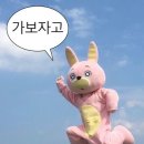 W9. 결혼 준비 : 신혼여행(허니문리조트 짝꿍 구함💟)