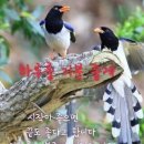 담담하게