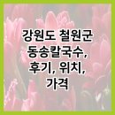 동송칼국수 이미지