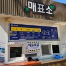 158 | 충남 예산 가볼 만한 곳｜예당호 출렁다리·모노레일·어드벤처 후기