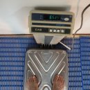 신금호 당구장 이미지