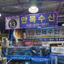 세븐일레븐 대전노은스타점 | 대전 밀치회 대게찜 포장 시세 노은수산시장 만복수산