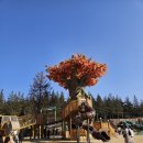 정읍시립신태인도서관 | 정읍 아이와 가볼만한 곳 "기적의 놀이터" 어제 다녀온 따끈한 후기