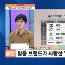 의외로 한국에서 샤넬 다음으로 화제성/선호도 높다는 명품브랜드.jpg 이미지