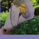 강릉책문화센터 | 내쓴내책 3기 모집 _강릉책문화센터