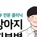 지성동물병원 이미지