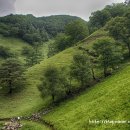 하늘마루염소목장 이미지