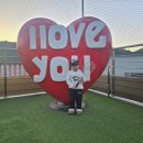 킹덤키즈-D 이미지