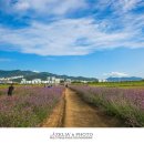 대저생태공원 이미지