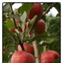 구천농장 이미지