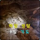 하당성당 네이버블로그