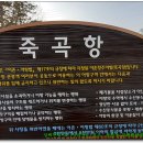 죽곡2공원 Daum카페