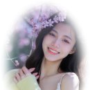 미스트롯노래