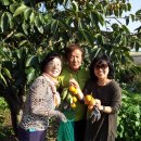 수아농장 이미지