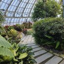 솔향이 진한 | 아이와 가기 좋은 강릉 솔향수목원 입장료, 주차, 셔틀버스 시간표 총정리