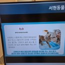 엘림동물의료센터 | 청주 서현동물의료센터 강아지 건강검진 후기, 노견 단비의 꼼꼼한 체크업 리얼 리뷰!